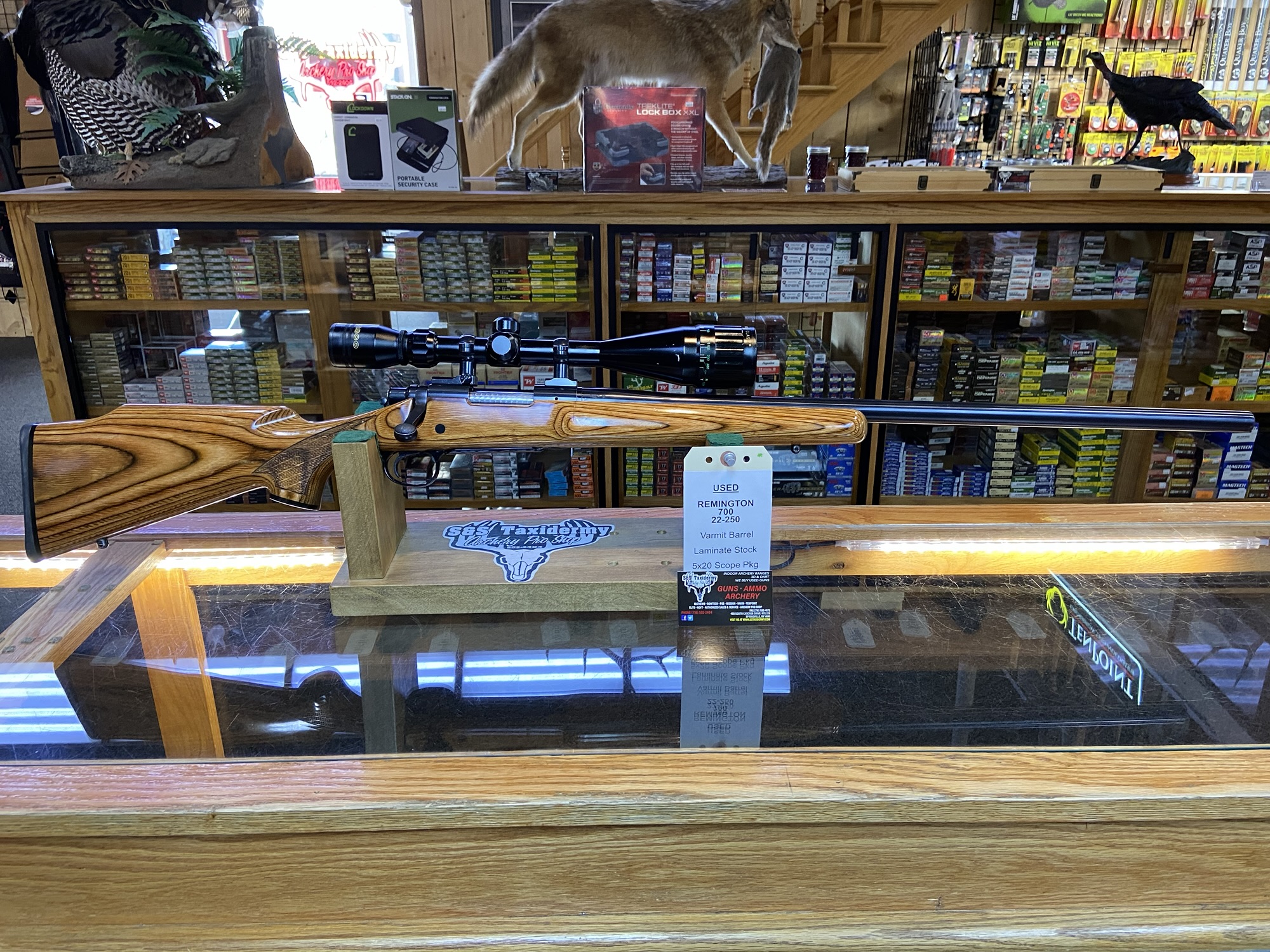 Here’s a perfect Varmint Rifle is now AVAILABLE! – S&S Taxidermy and ...